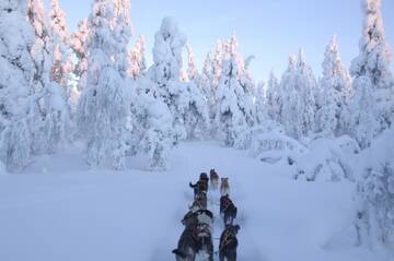 Фотографии Гостевой дом Guesthouse Husky г. Ивало (Финляндия) №2 Фото Гостевой дом Guesthouse Husky г. Ивало 2